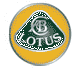 lotus-lotus