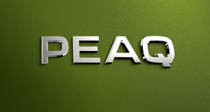 Skoda teases the Peaq - a new 7-seat electric SUV