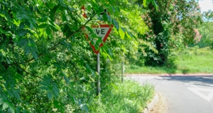 Drivers at risk due to obscured road signs