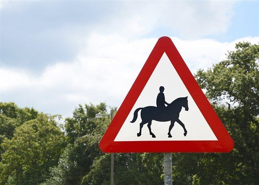 Caution Horses On Road