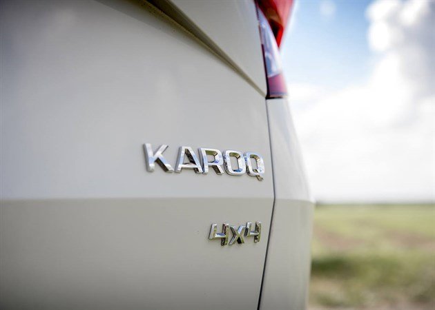 Karoq _040