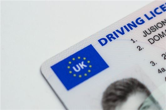 Driving -licence -3 (1)