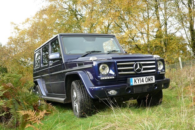 Mercedes G350 CDI F34 Grass