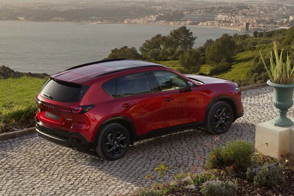 Mazda CX-5: rear view