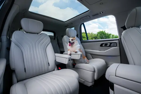 Geely Galaxy M9: interior